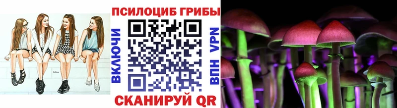 Галлюциногенные грибы мухоморы  где продают наркотики  МЕГА tor  Егорьевск 